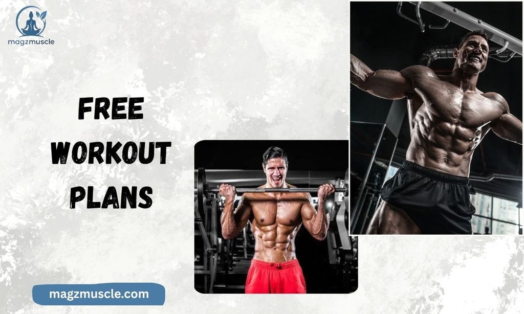 Free Workout Plans