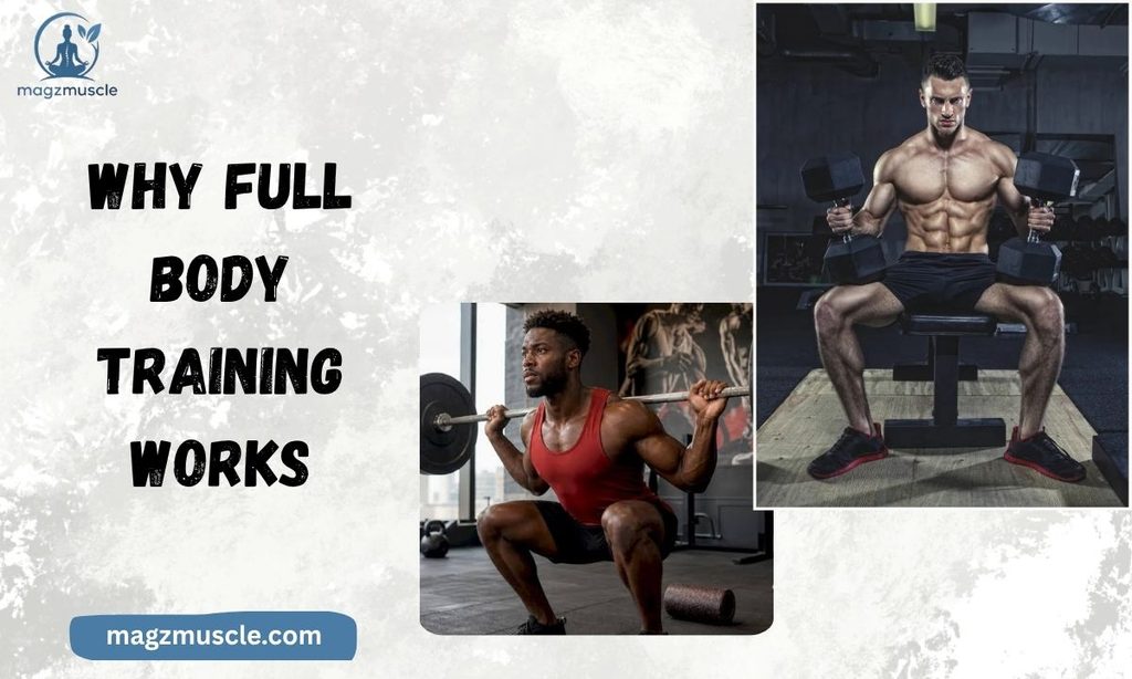 Why Full Body Training Works